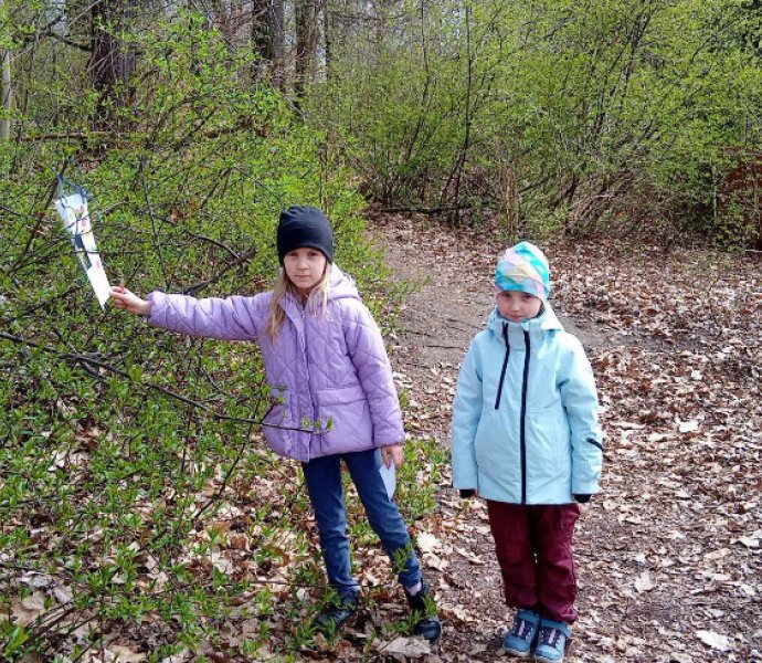 Obrázek galerie  31000