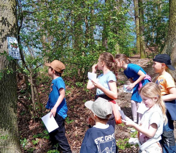 Obrázek galerie  31058