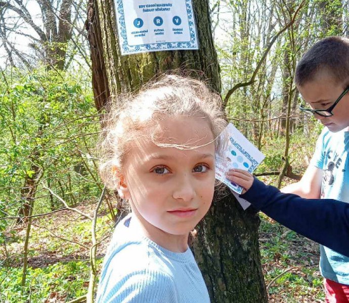 Obrázek galerie  31060