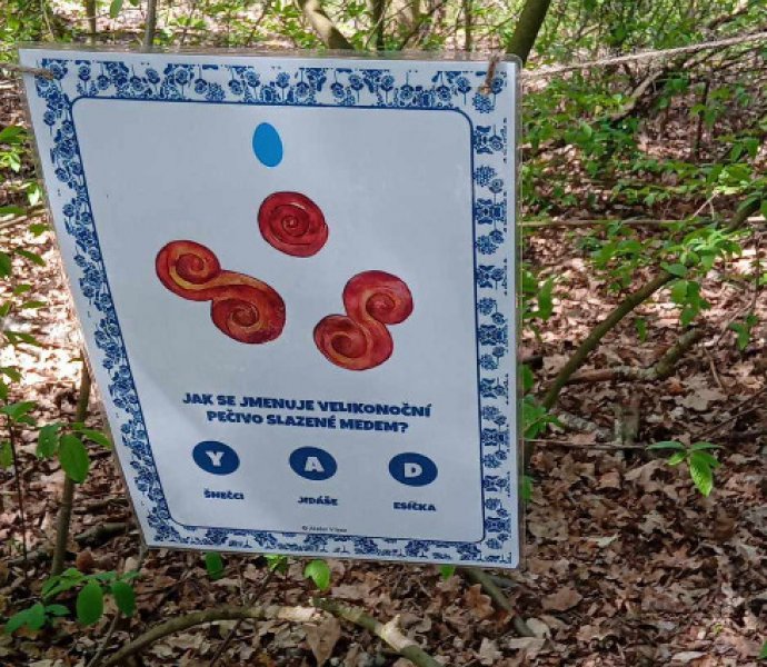 Obrázek galerie  31061