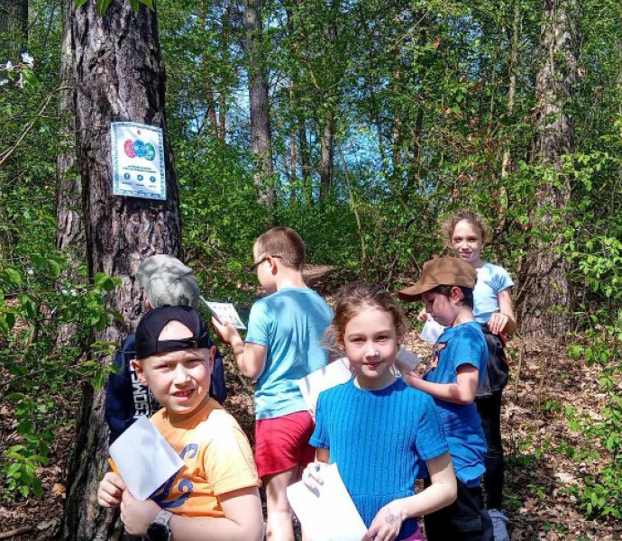 Obrázek galerie  31082