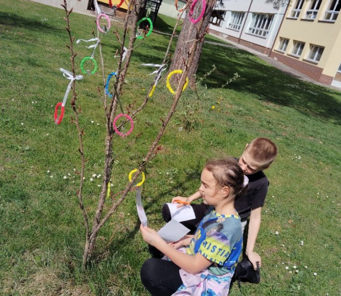 Obrázek galerie  31102