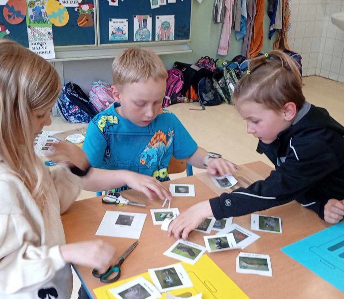 Obrázek galerie  31211