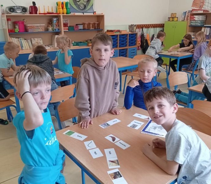 Obrázek galerie  31229