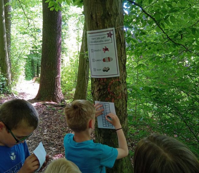 Obrázek galerie  31233