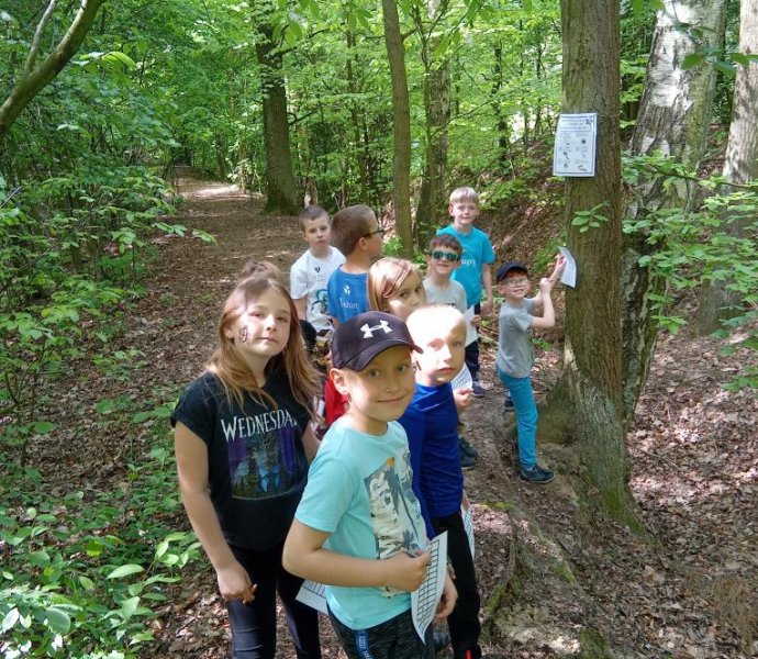 Obrázek galerie  31241