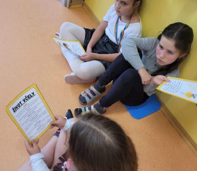 Obrázek galerie  31459