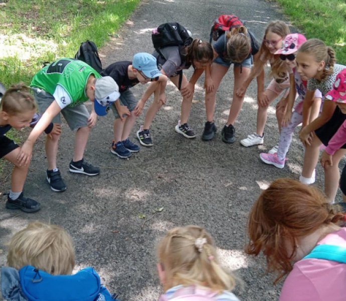 Obrázek galerie  31815