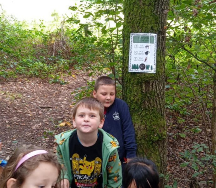 Obrázek galerie  32072