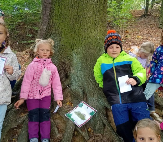 Obrázek galerie  32086