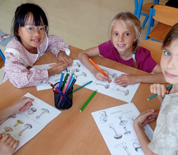 Obrázek galerie  32099