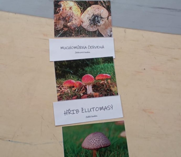 Obrázek galerie  32101