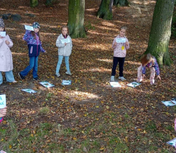 Obrázek galerie  32110