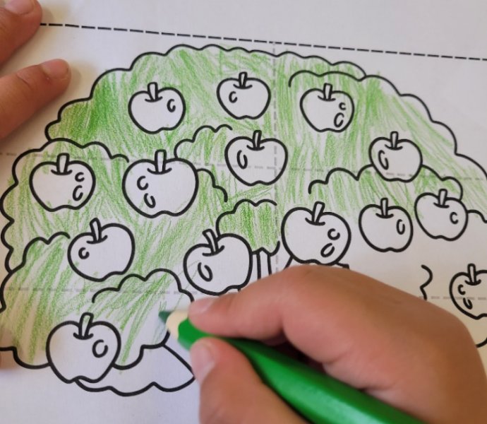 Obrázek galerie  32239