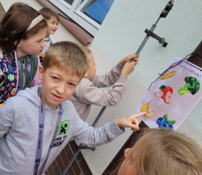 Obrázek galerie  32245