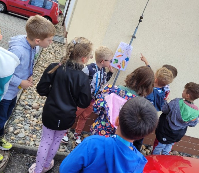 Obrázek galerie  32250