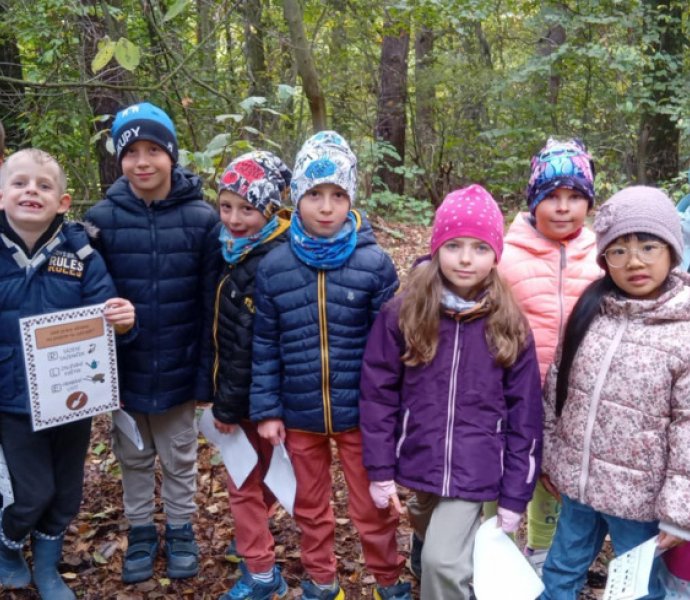 Obrázek galerie  32260