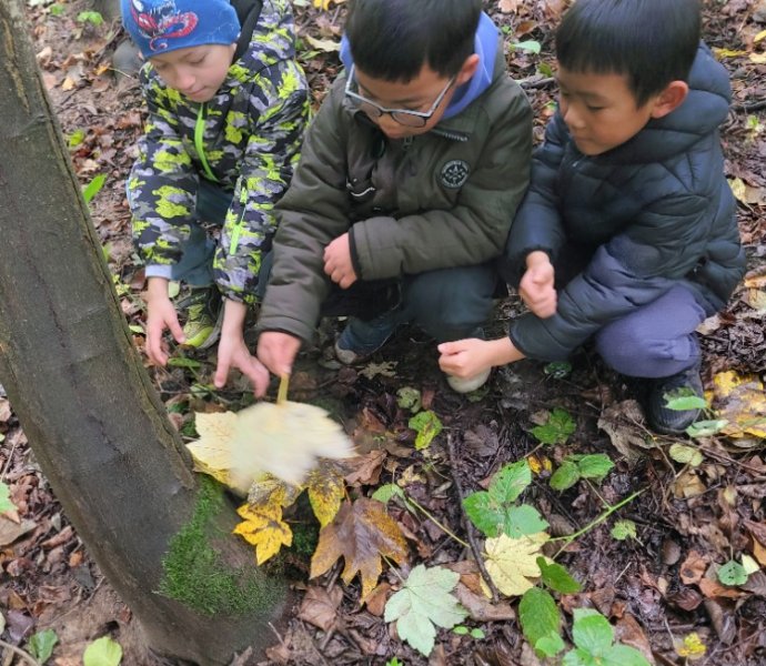 Obrázek galerie  32320