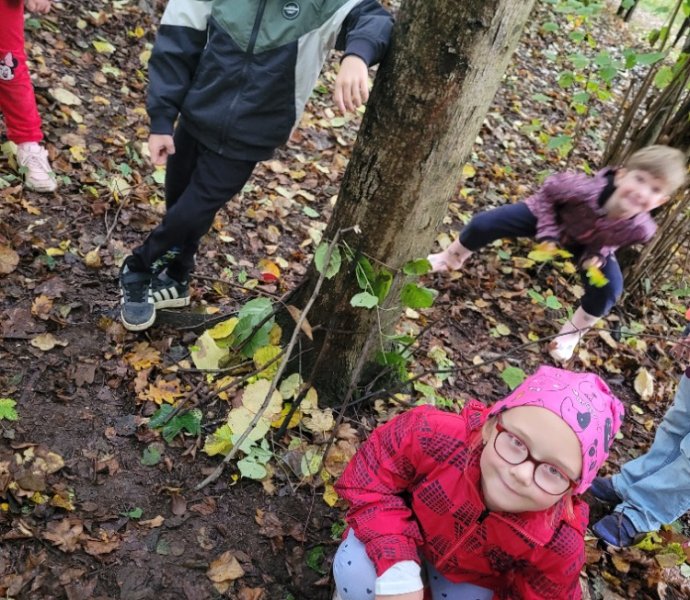 Obrázek galerie  32323