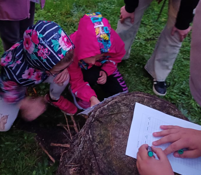 Obrázek galerie  32374