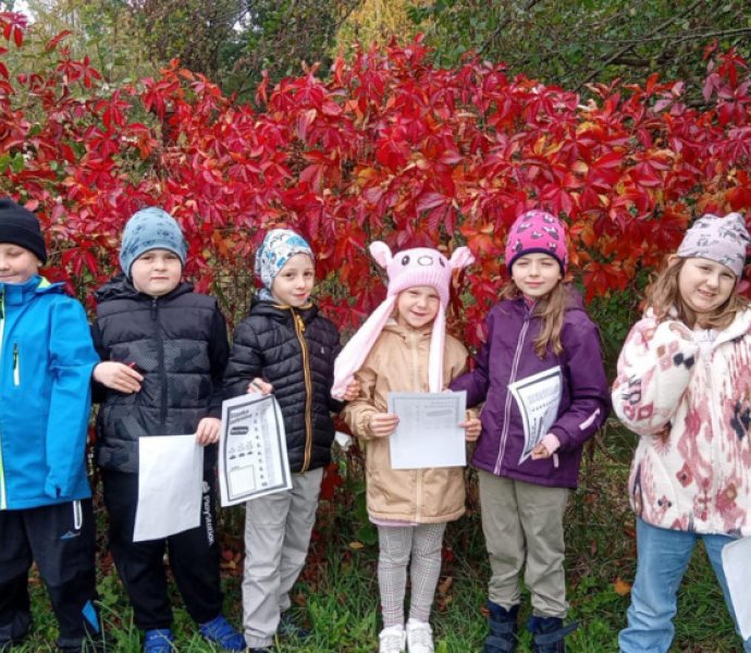 Obrázek galerie  32488