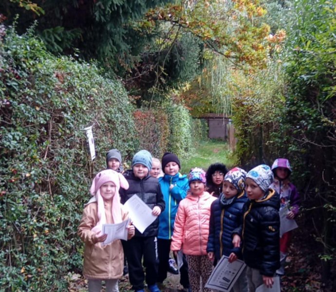 Obrázek galerie  32510