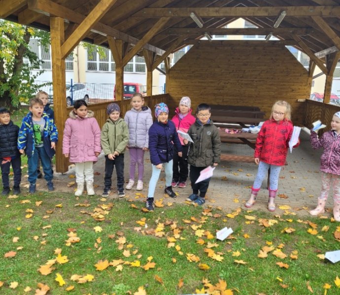 Obrázek galerie  32538