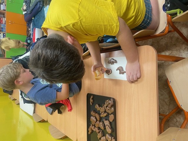 Obrázek galerie  32747