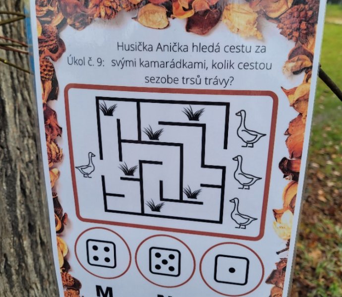 Obrázek galerie  32840