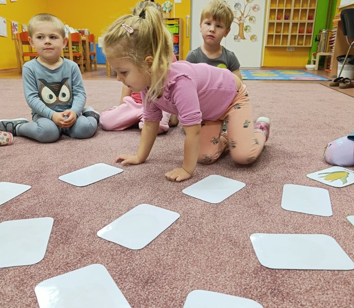 Obrázek galerie  33203