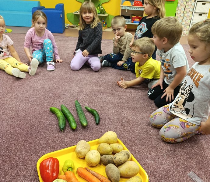 Obrázek galerie  33208