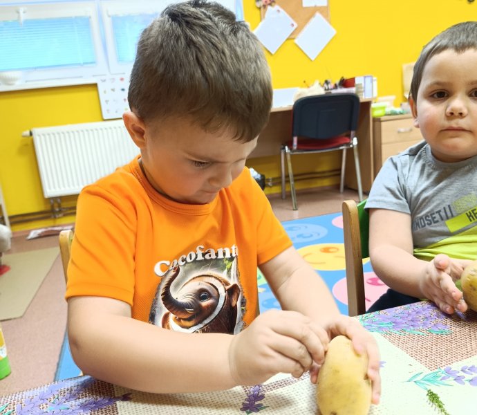 Obrázek galerie  33257