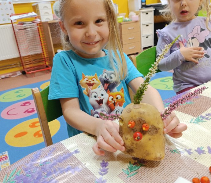 Obrázek galerie  33274