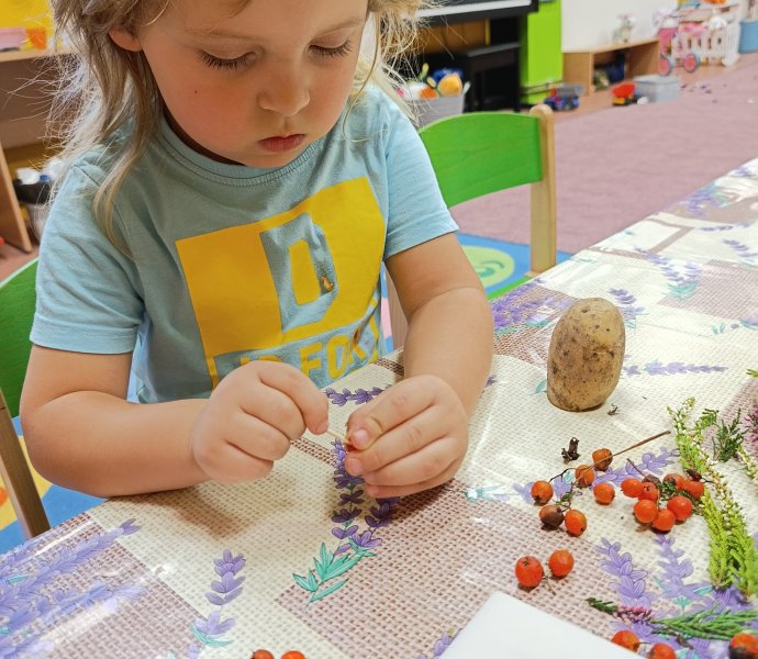 Obrázek galerie  33285