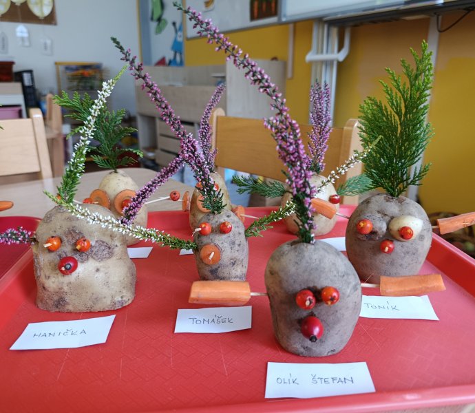 Obrázek galerie  33300