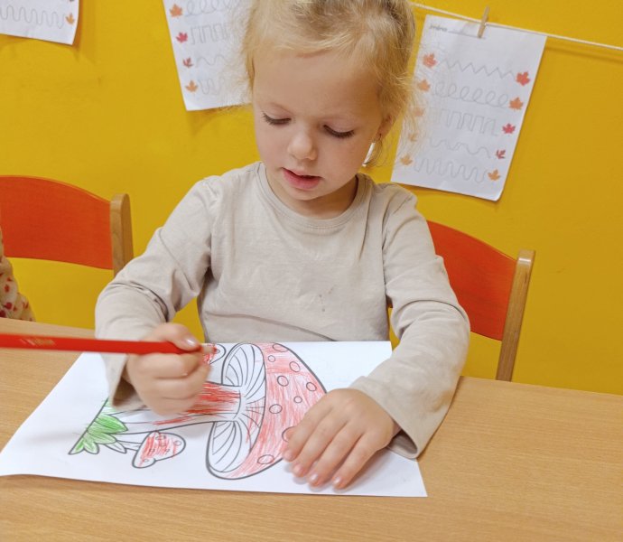 Obrázek galerie  33357