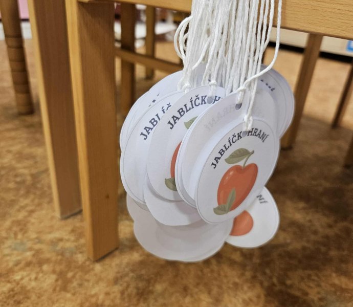 Obrázek galerie  33484