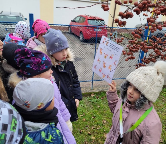 Obrázek galerie  33841