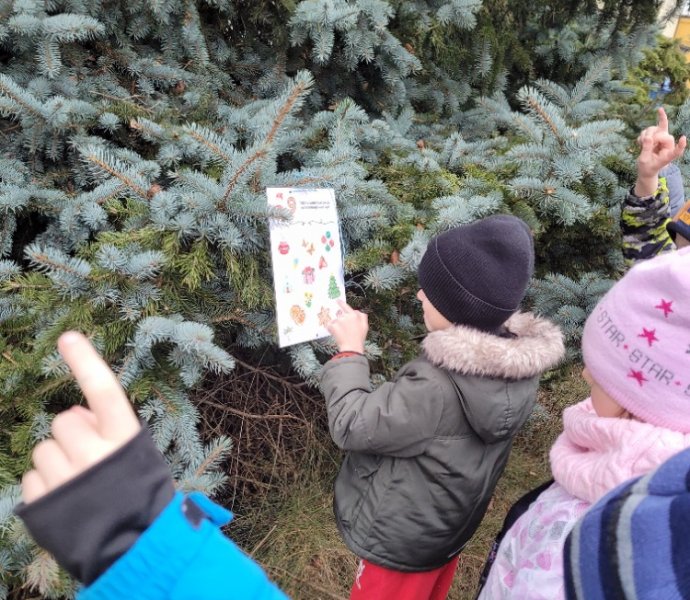 Obrázek galerie  33849