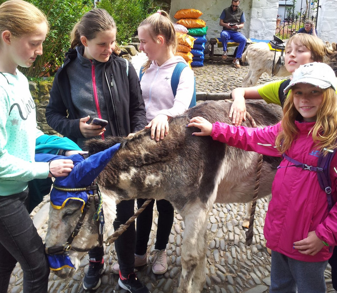 Obrázek galerie  3395