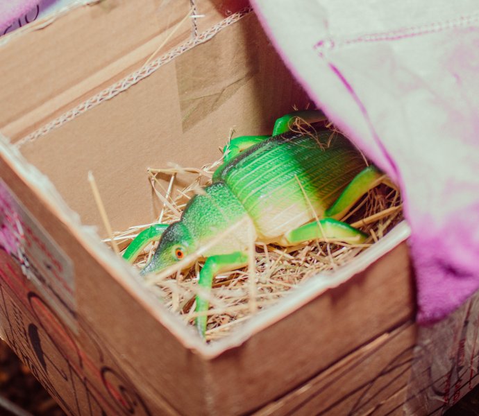 Obrázek galerie  3768