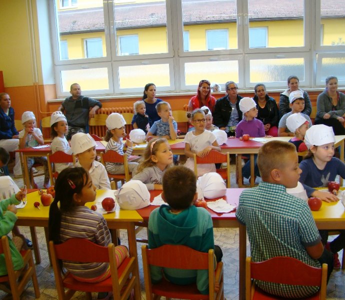 Obrázek galerie  4174