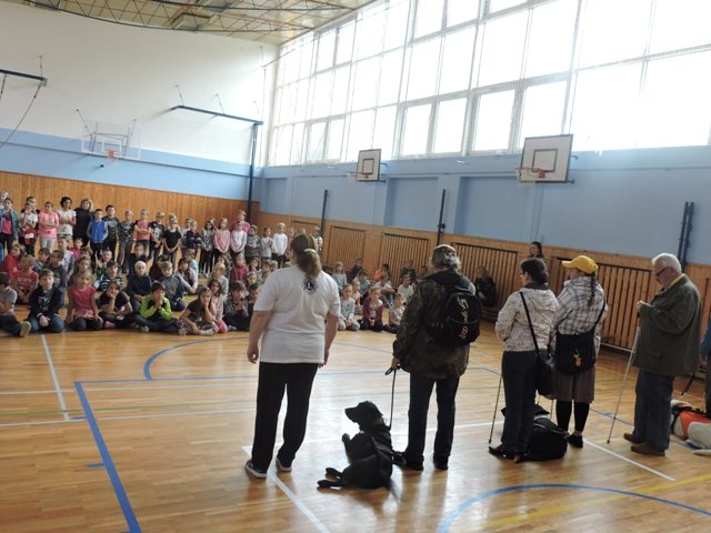 Obrázek galerie  4275