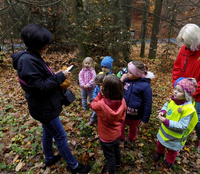 Obrázek galerie  4864