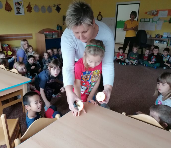 Obrázek galerie  6673