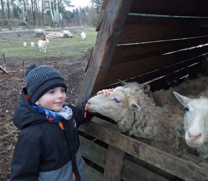 Obrázek galerie  7016