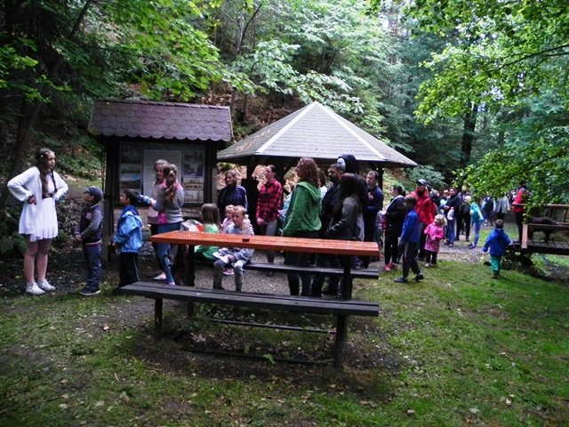 Obrázek galerie  591