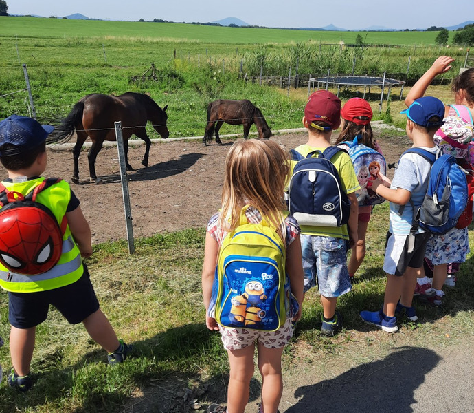 Obrázek galerie  7537