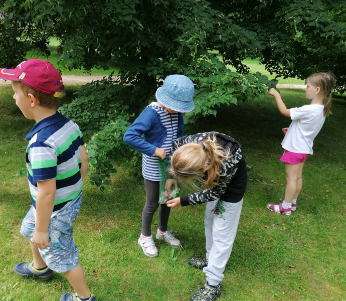 Obrázek galerie  7564