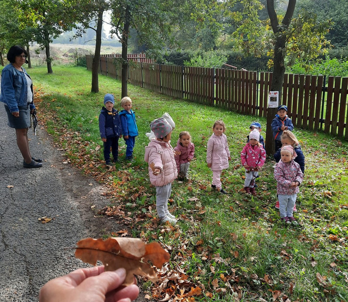 Obrázek galerie  7882